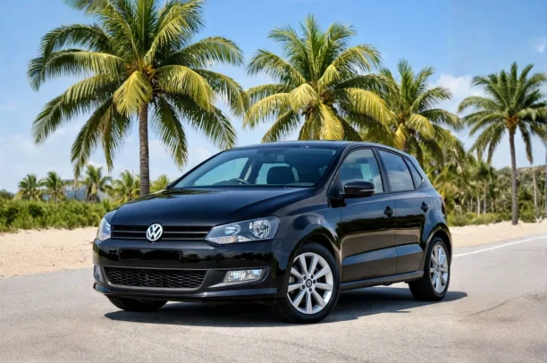 2010 VOLKSWAGEN Polo Gasolina Manual