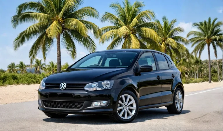 2010 VOLKSWAGEN Polo Gasolina Manual